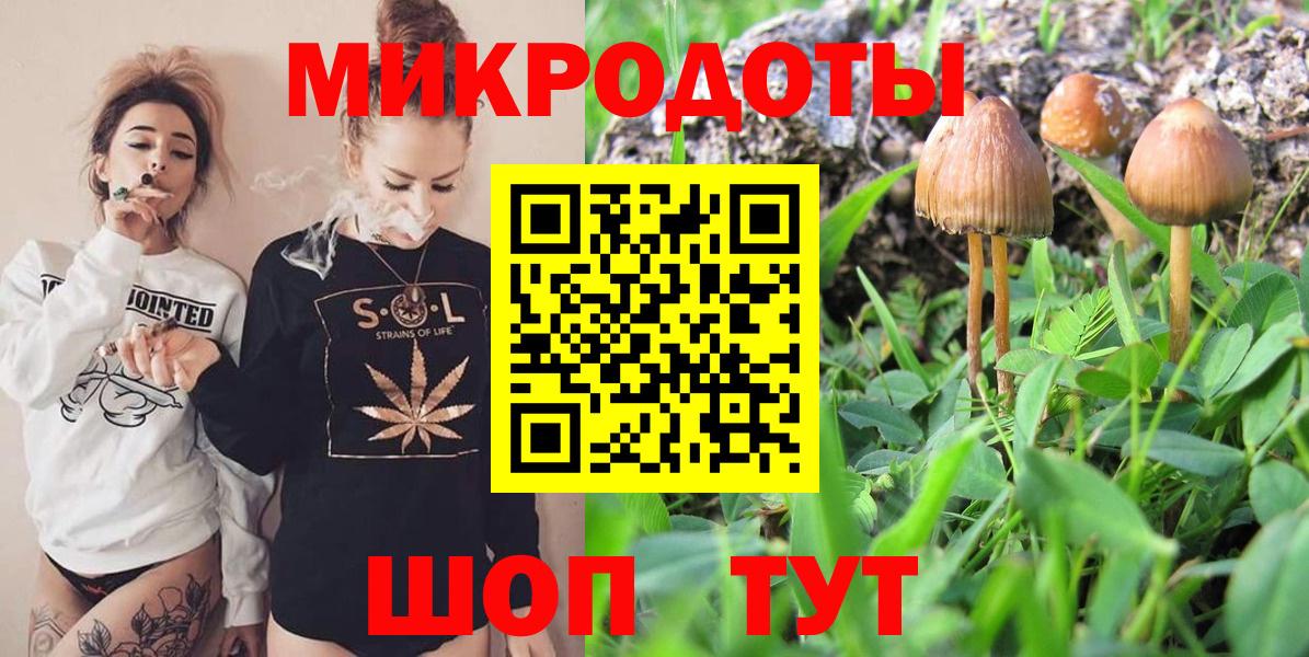 Псилоцибиновые грибы Psilocybe  Вход с VPN  Домодедово 